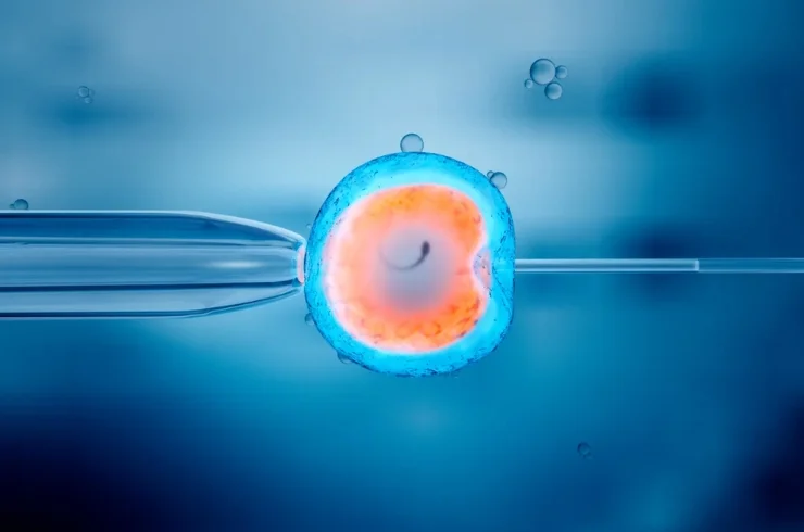 Failed IUI/ IVF Treatment